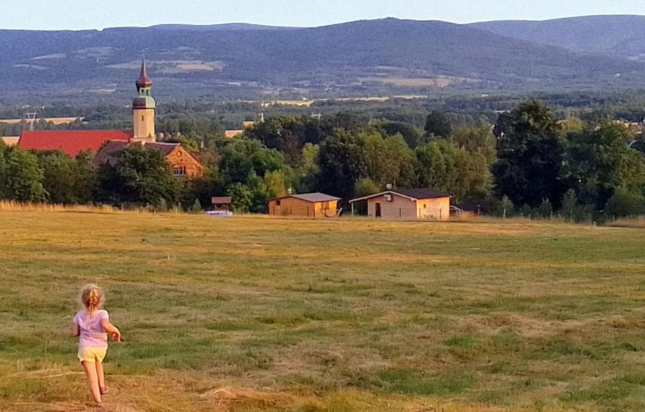 Domek W Gorach Izerskich 4 I 6 Osobowy, Agroturystyka, Zywe Zwierzeta, W Pelni Wyposazone, Plac Zabaw Dla Dzieci, Ognisko Z Kijkami I Rusztem, Ogrzewanie I Klimatyzacja, Latem Basen Mirsk ภายนอก รูปภาพ