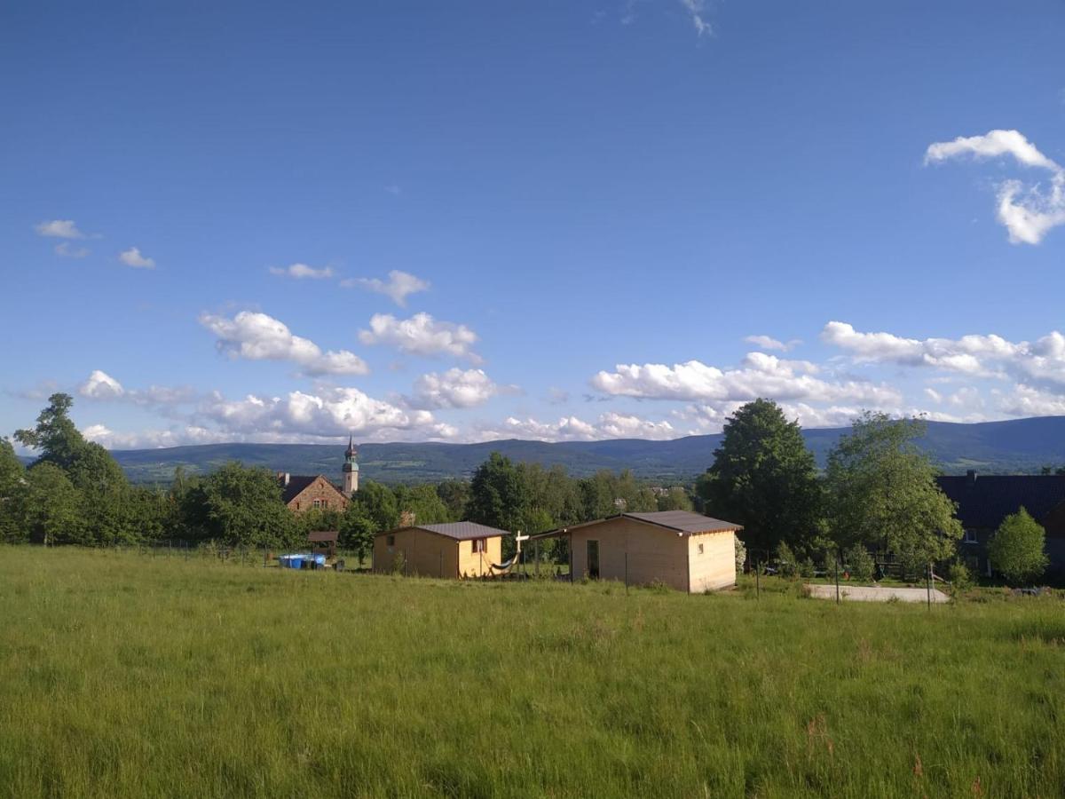 Domek W Gorach Izerskich 4 I 6 Osobowy, Agroturystyka, Zywe Zwierzeta, W Pelni Wyposazone, Plac Zabaw Dla Dzieci, Ognisko Z Kijkami I Rusztem, Ogrzewanie I Klimatyzacja, Latem Basen Mirsk ภายนอก รูปภาพ
