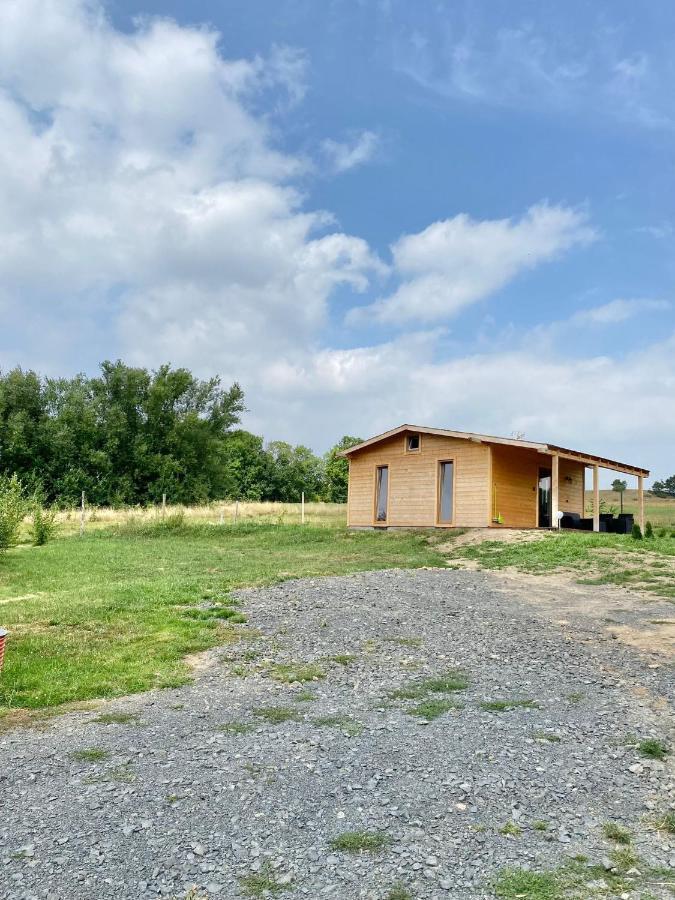 Domek W Gorach Izerskich 4 I 6 Osobowy, Agroturystyka, Zywe Zwierzeta, W Pelni Wyposazone, Plac Zabaw Dla Dzieci, Ognisko Z Kijkami I Rusztem, Ogrzewanie I Klimatyzacja, Latem Basen Mirsk ภายนอก รูปภาพ