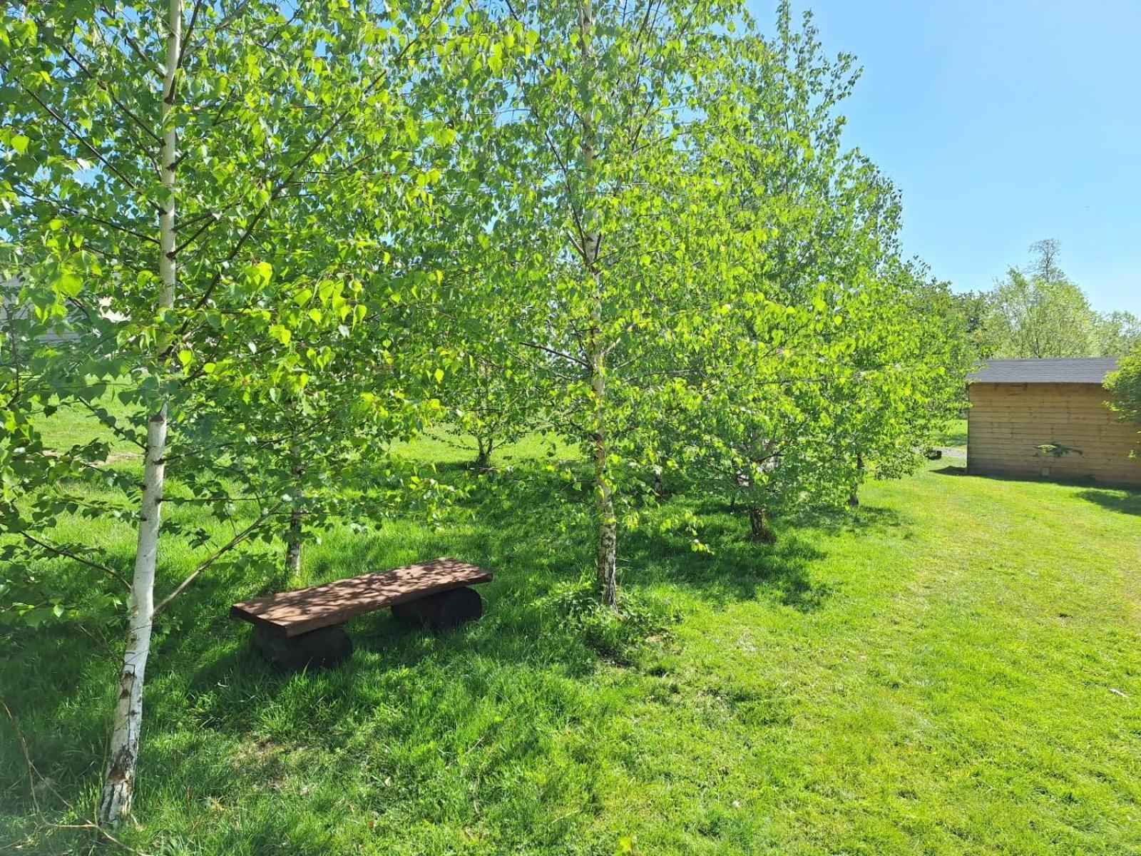 Domek W Gorach Izerskich 4 I 6 Osobowy, Agroturystyka, Zywe Zwierzeta, W Pelni Wyposazone, Plac Zabaw Dla Dzieci, Ognisko Z Kijkami I Rusztem, Ogrzewanie I Klimatyzacja, Latem Basen Mirsk ภายนอก รูปภาพ